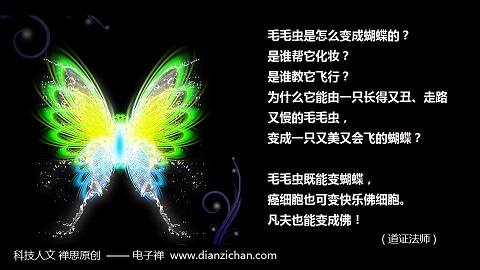 电子禅论坛__您我的精神家园